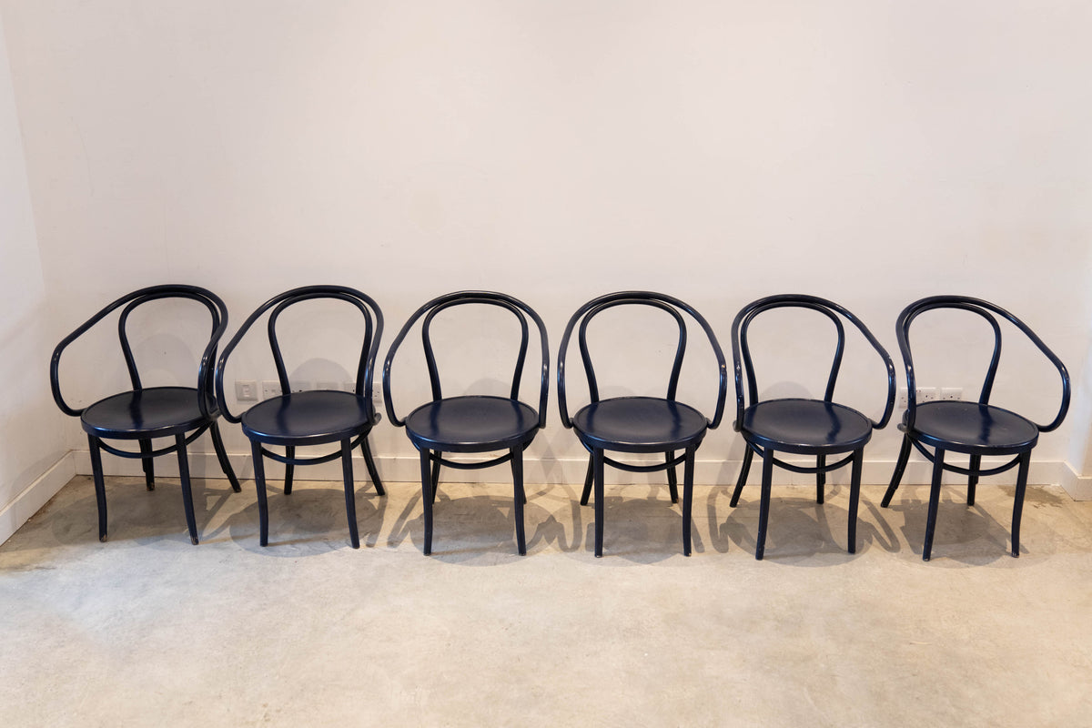 Thonet bentwood dining chairs  a set of  6 - black