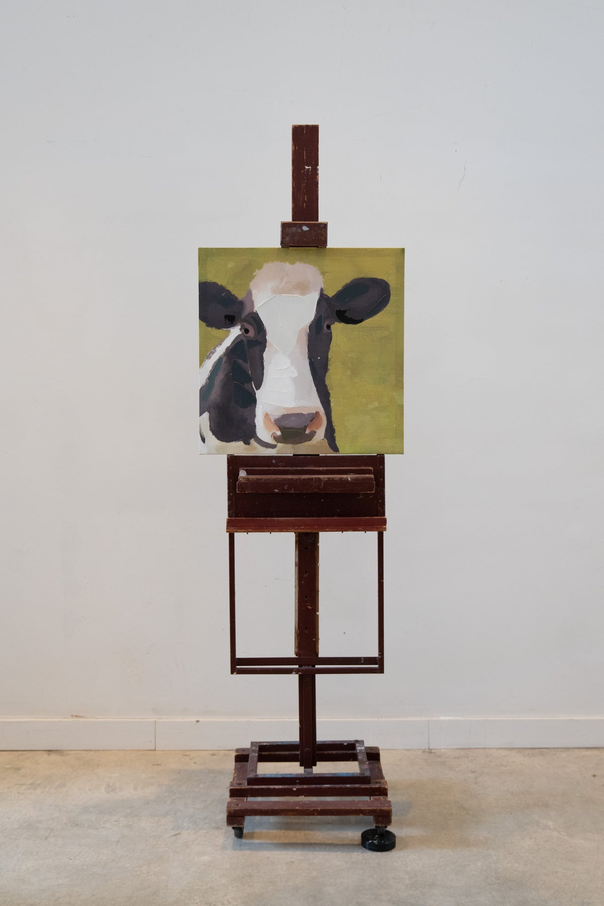 Portrait of a cow